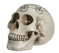 Sacred Geometry Skull Head Resin Figurine Statue Home Décor Collectible (Metatron's Cube)