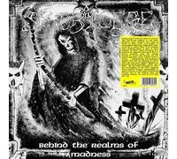 Behind The Realms Of Madness [VINYL]
