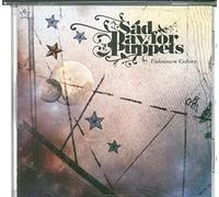 Sad Day For Puppets - Unknown Colours