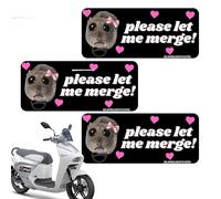 Sad Hamster Bumper Sticker, Bumper Sticker Decal | Creative Funny Car Sticker, Vivid Adhesive Removable Decals, Hamster Big Eyes Decal for