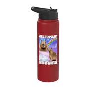Sad is Temporary Swag is Forever Stainless Steel Insulated Water Bottle