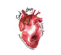 Sad Love : Romance and the Search for Meaning