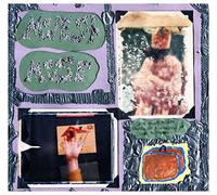 Modest Mouse - Sad Sappy Sucker