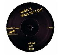 Sadat X - What Did I Do? [Vinyl Maxi-Single] [VINYL]