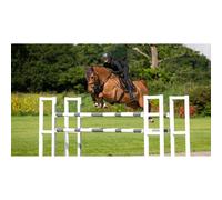 Saddle pad for horses LeMieux Puissance