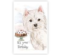 Saddlemount Cards West Highland Terrier Dog Birthday Card, Westie Dog Greetings Card