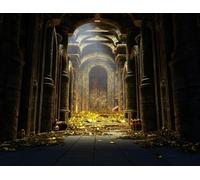 SADFA 10x8ft Castle Backdrop Ancient Kingdoms Treasure Trove of Gold Coins and Treasure Boxes Photo Backgrounds Treasure Hunt Pirate Theme Party Decoration Photo Booth Props