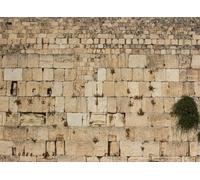 SADFA 7x5ft Jerusalem Wailing Wall Backdrop Israel Ancient Cityscape Western Wall Backdrop Photo Backdrop Photography Background Photo Booth Studio Props
