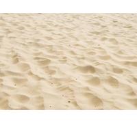 SADFA Sand Backdrop 5x3ft Summer Beach Background for Photography Natural Scenery Tropical Seaside Wall Party Decorations Video Shoot Studio Photo Props