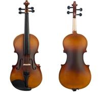 SADPRKR Acoustic Violin Fiddle 4/4 Wood Handcrafted Beginner Violin Kit W/Carrying Case Bow Bridge