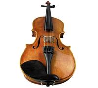 SADPRKR Adults and children practice and pass the exam on the plain flower solid wood tiger patterned violin