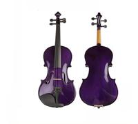 SADPRKR Color Violin Beginners Solid Wood Export Purple Solid Wood Violin