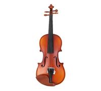 SADPRKR Colored solid wood tiger pattern violin popularization violin beginner learning violin