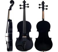 SADPRKR Full size acoustic violin with solid wood accessories, violin with carrying case, Brazilian wooden bow