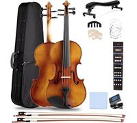 SADPRKR Full size beginner violin, string, bow, shoulder rest, tuning device, violin finger guide