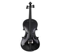 SADPRKR Full wood polished violin for beginners, adults and children, black, white, glossy violin
