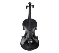 SADPRKR Full wood polished violin for beginners, adults and children, black, white, glossy violin