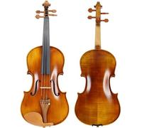 SADPRKR Quality Student Plain Violin Beginners Practice Wood Ebony Fingerboard Jujube Accessories