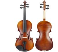 SADPRKR Tiger pattern splint for students to practice plywood violin for beginners