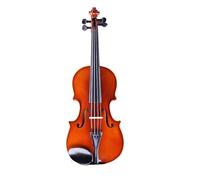 SADPRKR violin with matte color, suitable for adult and children beginner level instruments