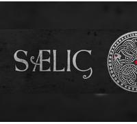 SAELIG Steam Altergift