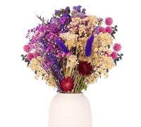 Saerryor 30 Pcs Natural Dried Flowers - 11 Kinds of Natural Blooms Set for DIY Bouquet and Vase Decoration (Color 2)
