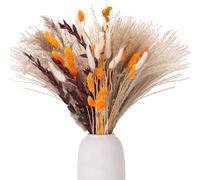 saerryor 64PCS Dried Flowers Bouquet Natural Bunny Tails, Pampas Grass Aesthetic Autumn Dried Flower Arrangement for Vase, Wedding Table, Living Room, Home, Farmhouse Decor, Craft Projects(About 43cm)