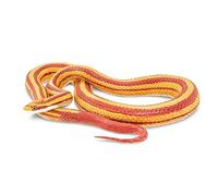 Safari 100073 Incredible Creatures Corn Snake Minature