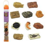 Safari 684804 Ancient Fossils