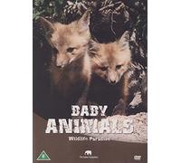 Safari: Baby Animals [DVD]