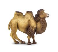 Safari Bactrian Camel