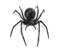 Safari Black Widow Spider