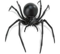 Safari Black Widow Spider