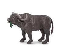 Safari Cape Buffalo