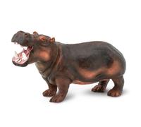 Safari Hippopotamus