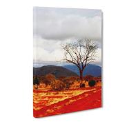 Safari Kenya Landscape Africa Landscape Modern Canvas Wall Art Print Ready to Hang, Framed Picture for Living Room Bedroom Home Office Décor, 20x14 Inch (50x35 cm)