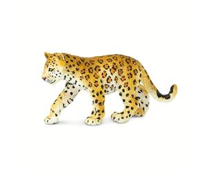 Safari Leopard Cub