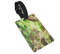 Safari,Leopard On The Branch in Savannah Exotic Macro Tropical Leaf Jungle Wild Nature Art 2 PC PVC Luggage Tags Privacy Cover Silicone Luggage Tags Travel Suitcase Tags Travel Accessories