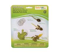 Safari Ltd. 269129 Life Cycle OF A Frog
