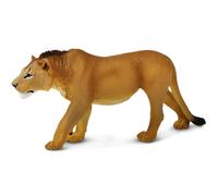 Safari Ltd. Adolescent Male Lion - Detailed 6"""" Wildlife Figurine - Educational Toy for Boys Girls and Kids Ages 3+