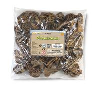 Safari Ltd Dinosaur Skulls Figure 48 Pieces Brown From 3 Years