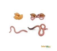 Safari Ltd Life Cycle Ant Moth, Chicken, Ladybug, Butterfly