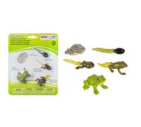 Safari Ltd. Life Cycle of a Frog Figurine Set - Miniature Educational
