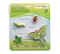 Safari Ltd. Life Cycle of a Luna Moth - Realistic Educational Toy Figurines - Miniature Insect Lifecycle Collection for Boys, Girls & Kids Age 4+