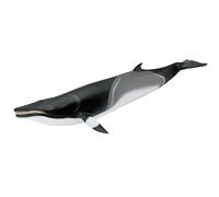Safari Ltd Minke Whale | New