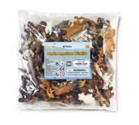 Safari Ltd North American Wildlife Bulk Bag Figure Multicolor From 3 Years