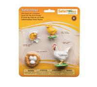 Safari Ltd Safariology the Life Cycle of a Chicken