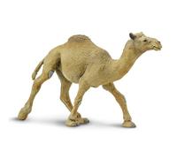 Safari Ltd Wild Safari Wildlife Dromedary Camel