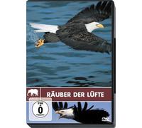 Safari - Räuber der Lüfte