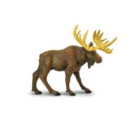 Safari S290029 Moose